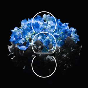 无遮无挡插逼逼免费观看视频网站
