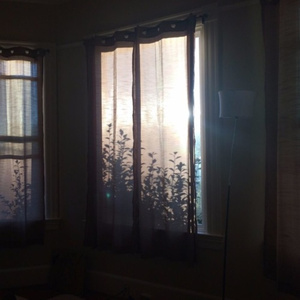 无遮无挡插逼逼免费观看视频网站
